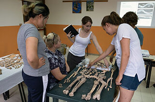 Bare Bones Anatomy