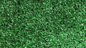 30x70  Green Astro Turf 