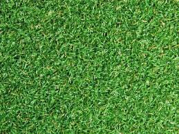 10x60 Green Astro Turf 
