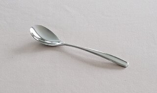 Silver Desert Spoon