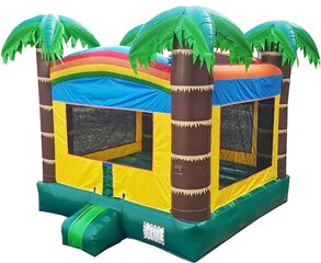 Rainbow Forest Bouncer