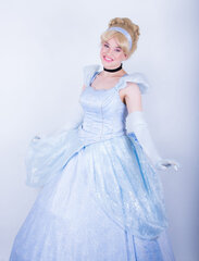 Cinderella Character
