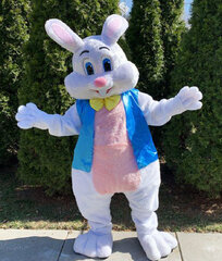 Easter Bunny Character