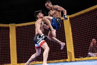 Professional MMA Fighters Action Show 