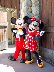 Mickey N Minnie Characters 