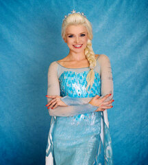 Princes Elsa Characters 