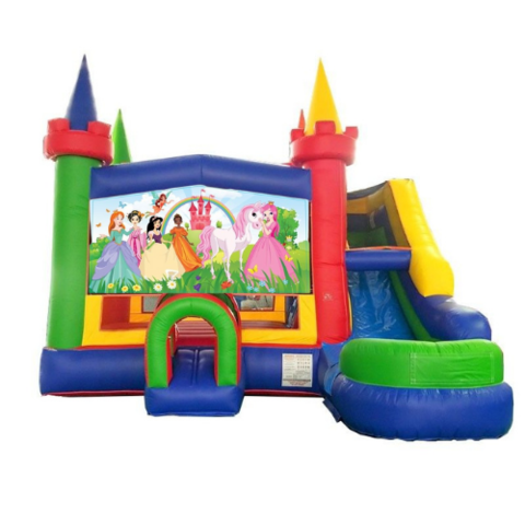 Princess Wet or Dry Slide Combo