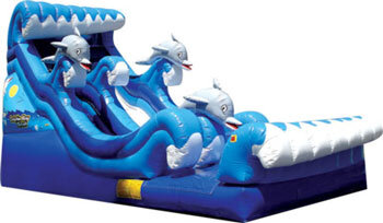 19' Dolphin Bay Water Slide