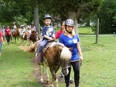 Ponies
