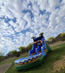 Jaguar Jungle Water Slide