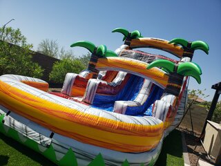 Tropical Splash Double Lane Water Slide