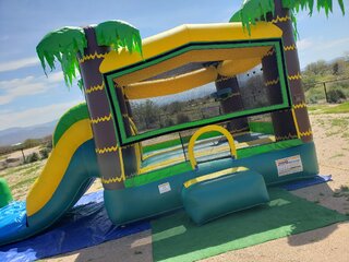 Tropical Oasis Combo