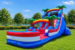 Tropical Splash Dual Lane Water Slide