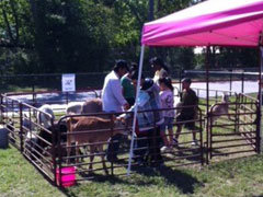 Petting Zoo and  Pony Rides