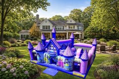 Disney Princess Palace