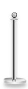 Silver Stainless Steel Stanchion