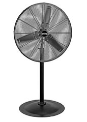 Pedestal Fan