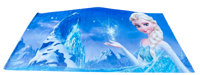 bounce house banner frozen 