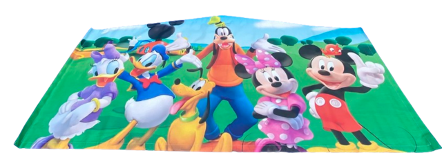 bounce house banner Disney 