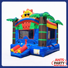 Sun & Fun Bounce House(13X13)