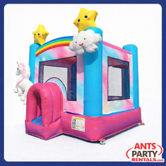 Enchanted Bouncer (14X14)