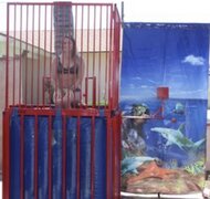 Dunk Booth