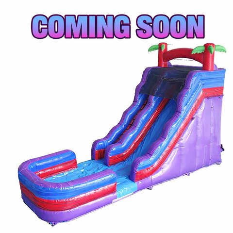 19 FT Purple Palm Splash Water Slide