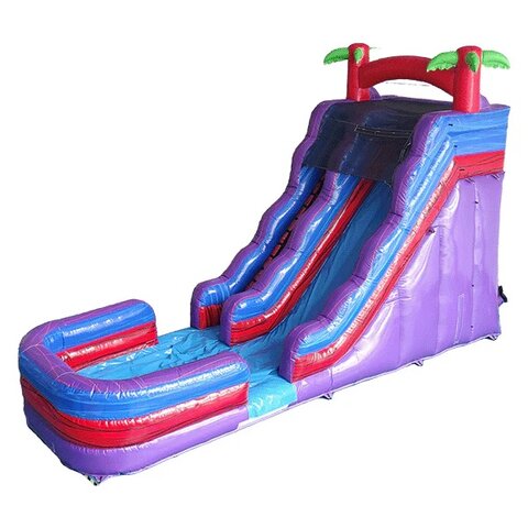 19 FT Purple Palm Dry Slide