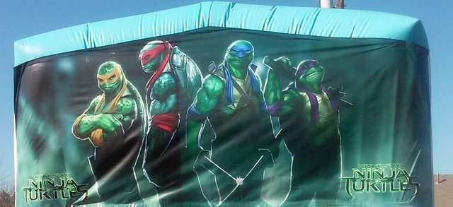 Ninja Turtles Panel