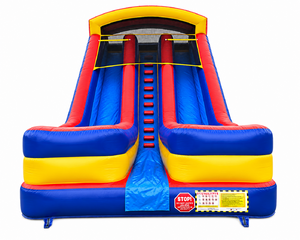 20 ft. Dual Lane Dry Slide