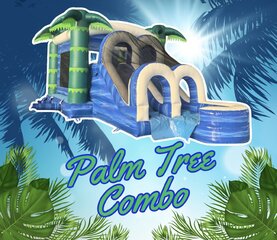 Palm Tree combo 