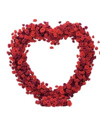 Proposal Heart Arch 