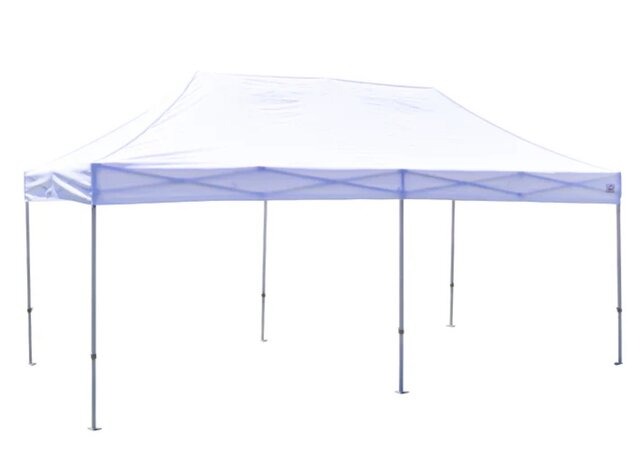 10'X20' Canopy Tent