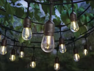 LED String Lights (20x40 Tent)