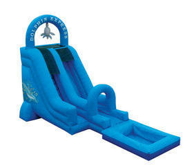  Dolphin Express Water Slide 16'