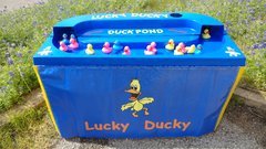 Lucky Ducky Duck Pond
