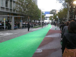 Green carpet 4'X50'