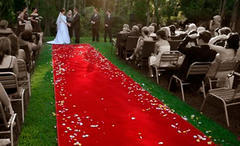 Red carpet 4'X25'