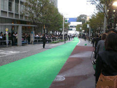 Green Carpet  4'X25'