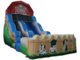 Barnyard Wet/Dry Slide