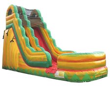Fiesta Wet/Dry Slide