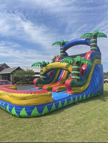15ft Dual Lane Water Slide