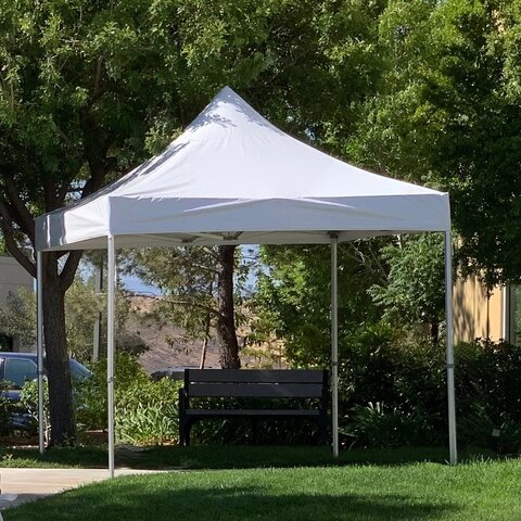 10x10 Canopy 