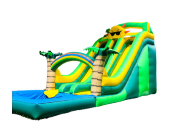 Tropical Sunshine Dual Water Slide