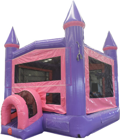 Purple and Pink Bouncer