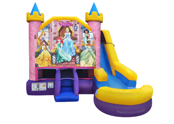 Disney Princess Combo - WET