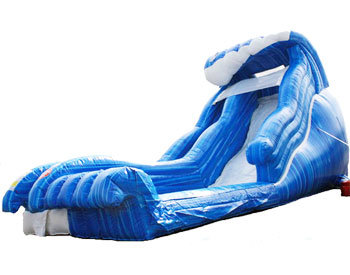 Wild Wave Jr. Water Slide