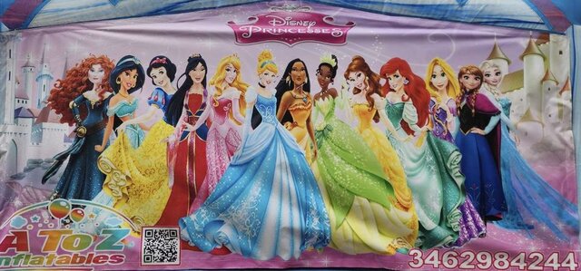 Disney Princess Banner