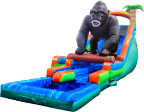 20 FT DOUBLE LANE KING KONG WATER SLIDE