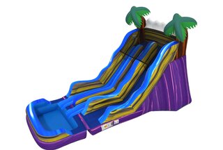 17’ Tropical Paradise Dual Slide